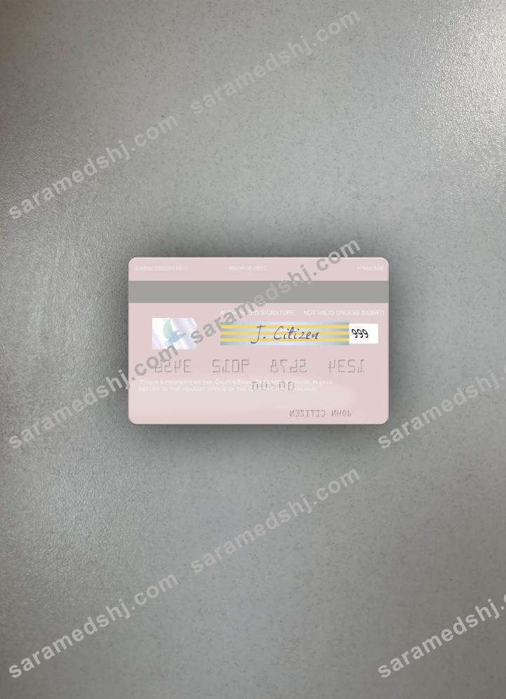 Thailand Calyon Bank visa debit card photolook back